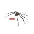 Araña rojiza moldeable 86 cm
