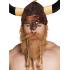Barba Pelirroja de Vikingo con Trenzas