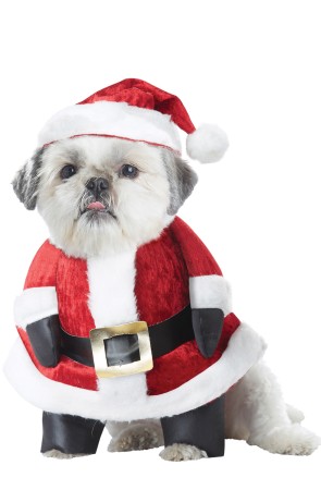 Disfraz de Papá Noel para perro