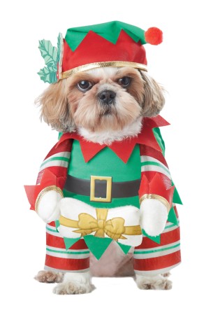 Disfraz de elfo navideño travieso para perro