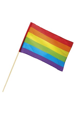 Bandera   ArcoIris 30 x 45 cm + Palo Banera 76 cms