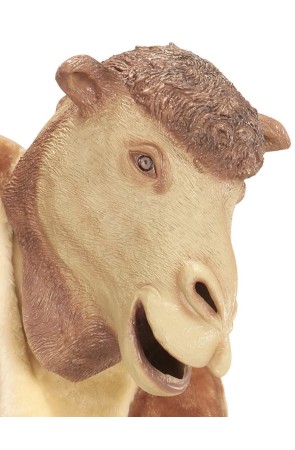 Máscara Camello Cabeza