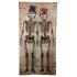 Photo call pareja de esqueletos 158x58 cm.